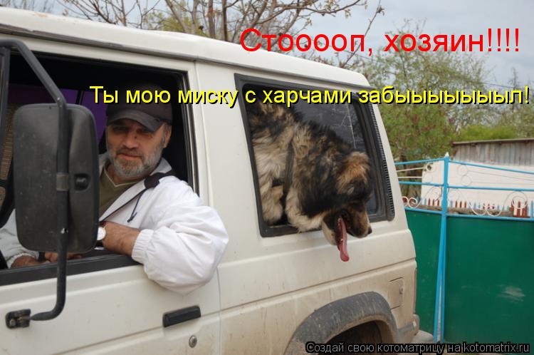 Стооооп, хозяин!!!! Ты мою миску с харчами забыыыыыыыл!... Котоматрица: Стооооп, хозяин!!!! Ты мою миску с харчами забыыыыыыыл!