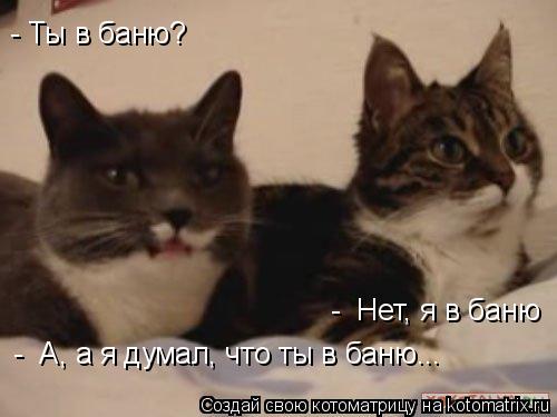 - Ты в баню? - Нет, я в баню - А, а я думал, что ты в баню...... Котоматрица: - Ты в баню? - Нет, я в баню - А, а я думал, что ты в баню...