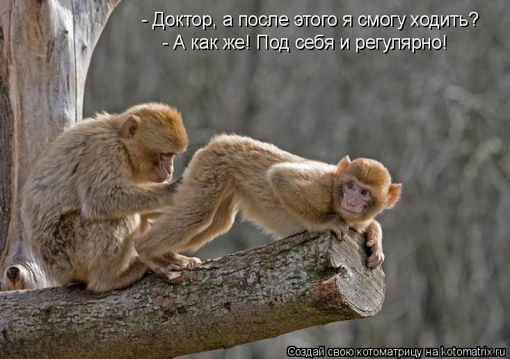 - Доктор, а после этого я смогу ходить? - А как же! Под себя и регулярно!... Котоматрица: - Доктор, а после этого я смогу ходить? - А как же! Под себя и регулярно!
