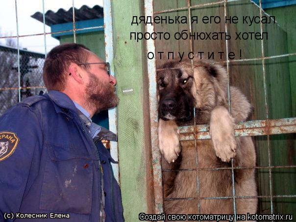 дяденька я его не кусал просто обнюхать хотел о т п у с т и т е !... Котоматрица: дяденька я его не кусал просто обнюхать хотел о т п у с т и т е !