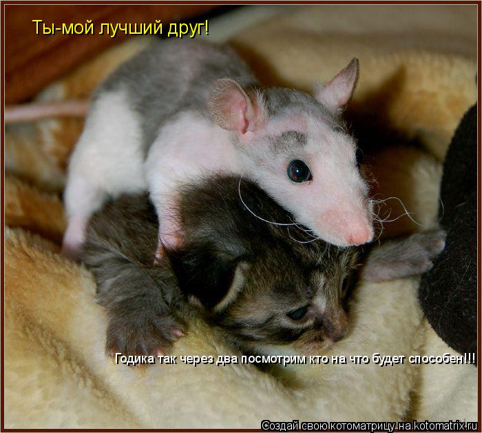 Ты-мой лучший друг! Годика так через два посмотрим кто на что будет способен!!!... Котоматрица: Ты-мой лучший друг! Годика так через два посмотрим кто на что будет способен!!!