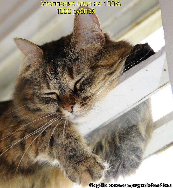Котоматрица: Утепление окон на 100% 1000 рублей