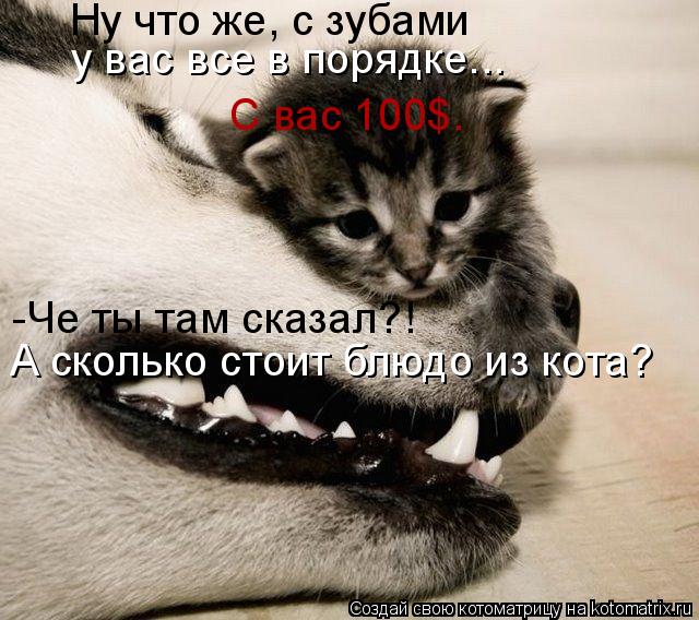 Ну что же, с зубами у вас все в порядке... С вас 100$. -Че ты там сказал?! А сколько стоит блюдо из ... Котоматрица: Ну что же, с зубами у вас все в порядке... С вас 100$. -Че ты там сказал?! А сколько стоит блюдо из кота?