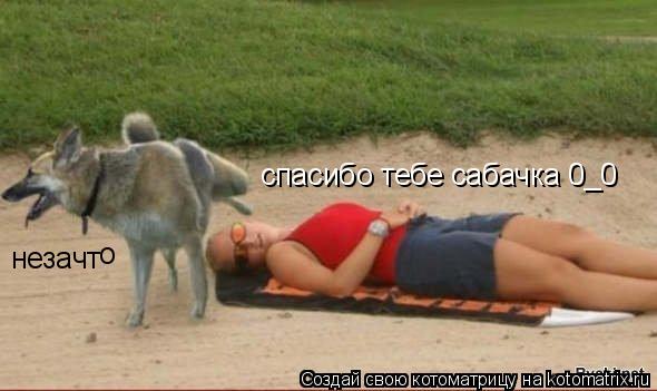 спасибо тебе сабачка 0_0 незачт о... Котоматрица: спасибо тебе сабачка 0_0 незачт о