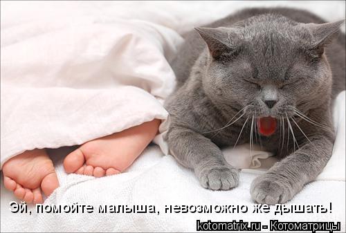 Эй, помойте малыша, невозможно же дышать!... Котоматрица: Эй, помойте малыша, невозможно же дышать!