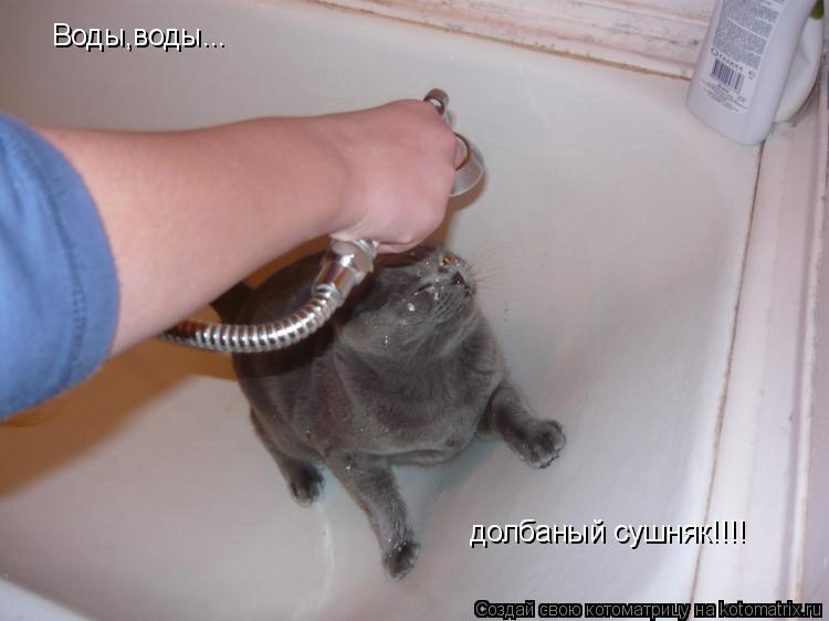 Воды,воды... долбаный сушняк!!!!... Котоматрица: Воды,воды... долбаный сушняк!!!!