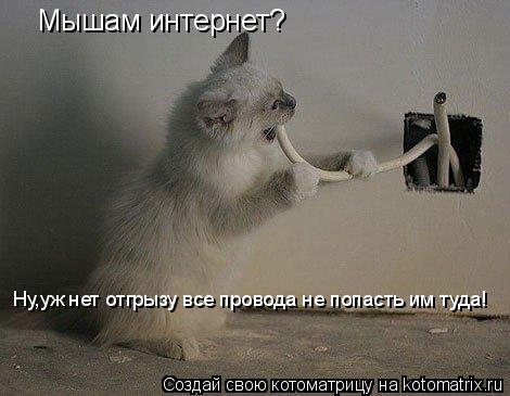 Мышам интернет? Ну,уж нет отгрызу все провода не попасть им туда!... Котоматрица: Мышам интернет? Ну,уж нет отгрызу все провода не попасть им туда!