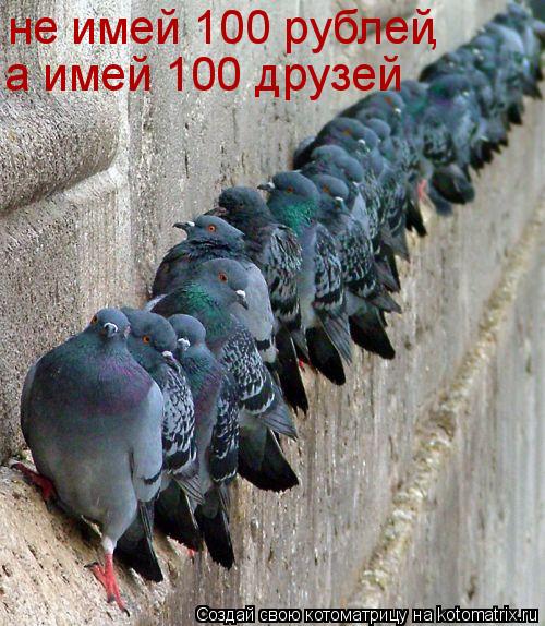 не имей 100 рублей , а имей 100 друзей... Котоматрица: не имей 100 рублей , а имей 100 друзей