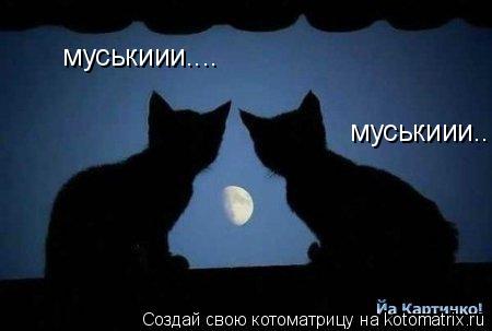 муськиии.... муськиии....... Котоматрица: муськиии.... муськиии....