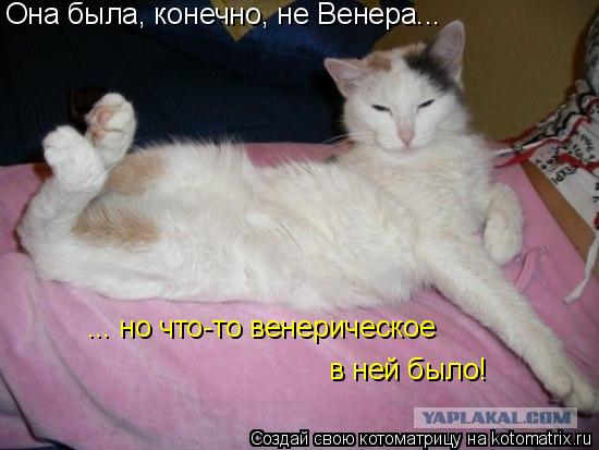 Она была, конечно, не Венера... ... но что-то венерическое в ней было!... Котоматрица: Она была, конечно, не Венера... ... но что-то венерическое в ней было!
