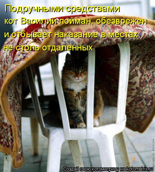Подручными средствами кот Василий пойман, обезврежен и отбывает наказание в местах не столь отдаленны... Котоматрица: Подручными средствами кот Василий пойман, обезврежен и отбывает наказание в местах не столь отдаленных