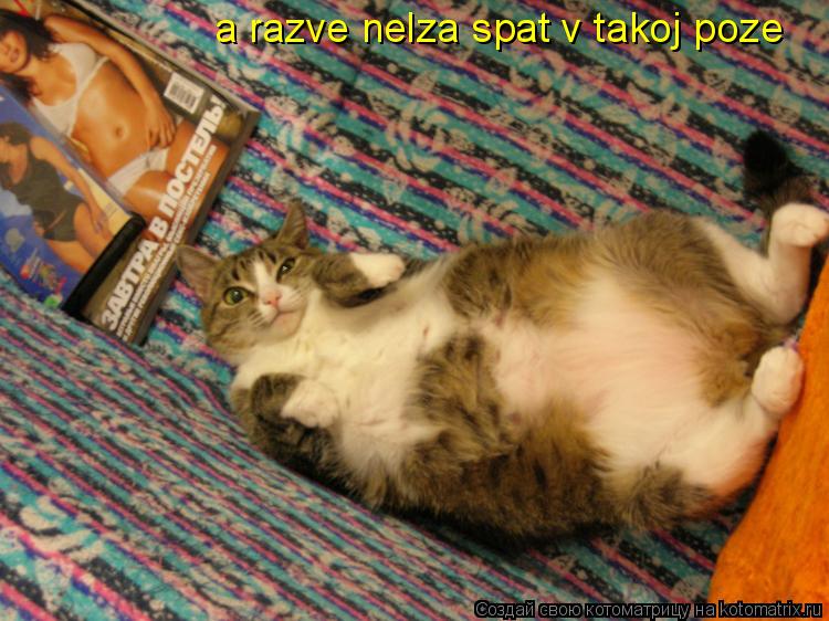 a razve nelza spat v takoj poze... Котоматрица: a razve nelza spat v takoj poze