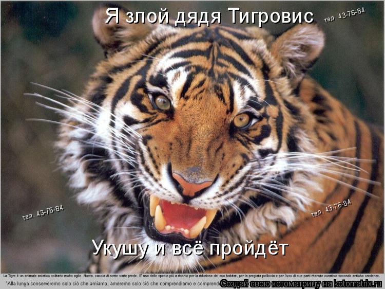 Я злой дядя Тигровис Укушу и всё пройдёт тел. 43-76-84 тел. 43-76-84 тел. 43-76-84... Котоматрица: Я злой дядя Тигровис Укушу и всё пройдёт тел. 43-76-84 тел. 43-76-84 тел. 43-76-84
