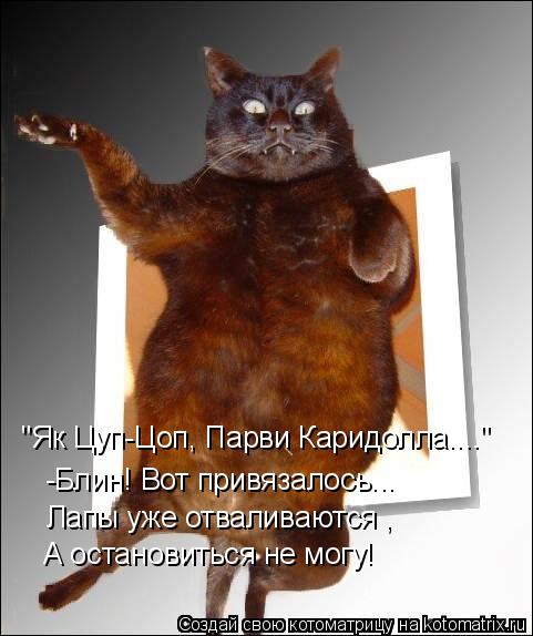 Котоматрица: "Як Цуп-Цоп, Парви Каридолла...." -Блин! Вот привязалось... Лапы уже отваливаются , А остановиться не могу!
