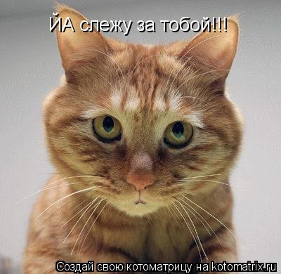 Котоматрица: ЙА слежу за тобой!!!