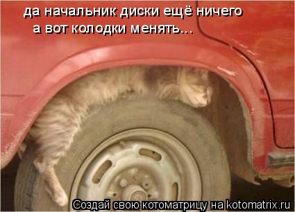да начальник диски ещё ничего а вот колодки менять...... Котоматрица: да начальник диски ещё ничего а вот колодки менять...