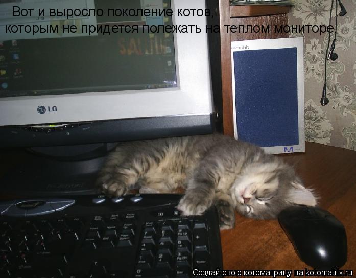 Вот и выросло поколение котов, которым не придется полежать на теплом мониторе.... Котоматрица: Вот и выросло поколение котов, которым не придется полежать на теплом мониторе.