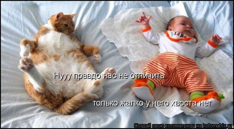 Нууу правдо нас не отличить только жалко у него хвоста нет... Котоматрица: Нууу правдо нас не отличить только жалко у него хвоста нет
