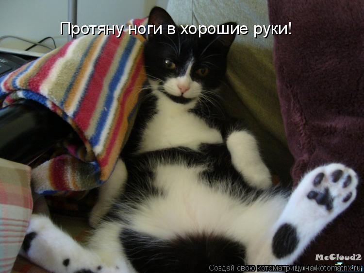 Протяну ноги в хорошие руки!... Котоматрица: Протяну ноги в хорошие руки!