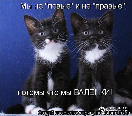 Мы не "левые" и не "правые", потомы что мы ВАЛЕНКИ!... Котоматрица: Мы не "левые" и не "правые", потомы что мы ВАЛЕНКИ!