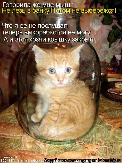 Говорила же мне мыш : Не лезь в банку!Потом не выбережся! Что я ее не послушал, теперь выкорабкотся н... Котоматрица: Говорила же мне мыш : Не лезь в банку!Потом не выбережся! Что я ее не послушал, теперь выкорабкотся не могу А и этот хозяи крышку закрыл
