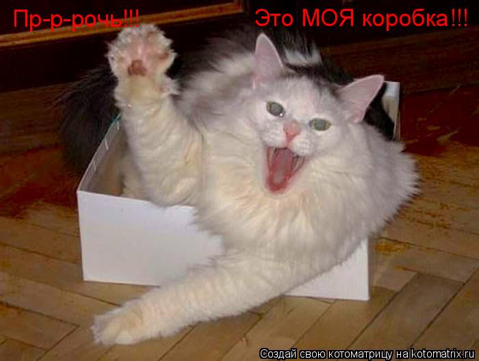 Пр-р-рочь!!! Это МОЯ коробка!!!... Котоматрица: Пр-р-рочь!!! Это МОЯ коробка!!!