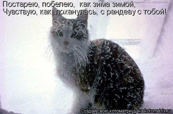 Чувствую, как лоханулась, с рандеву с тобой! Постарею, побелею, как зима зимой,... Котоматрица: Чувствую, как лоханулась, с рандеву с тобой! Постарею, побелею, как зима зимой,