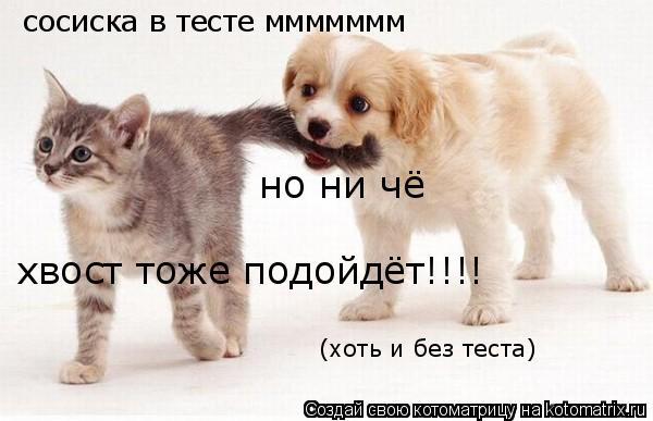 сосиска в тесте ммммммм но ни чё хвост тоже подойдёт!!!! (хоть и без теста)... Котоматрица: сосиска в тесте ммммммм но ни чё хвост тоже подойдёт!!!! (хоть и без теста)