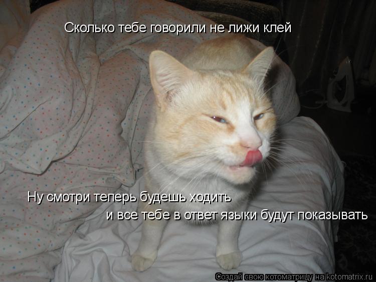 Сколько тебе говорили не лижи клей Ну смотри теперь будешь ходить и все тебе в ответ языки будут по... Котоматрица: Сколько тебе говорили не лижи клей Ну смотри теперь будешь ходить и все тебе в ответ языки будут показывать