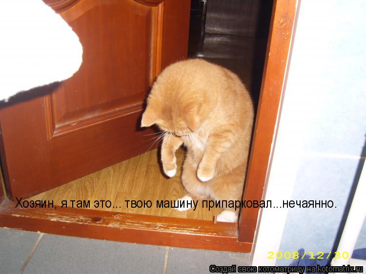 Хозяин, я там это... твою машину припарковал...нечаянно.... Котоматрица: Хозяин, я там это... твою машину припарковал...нечаянно.