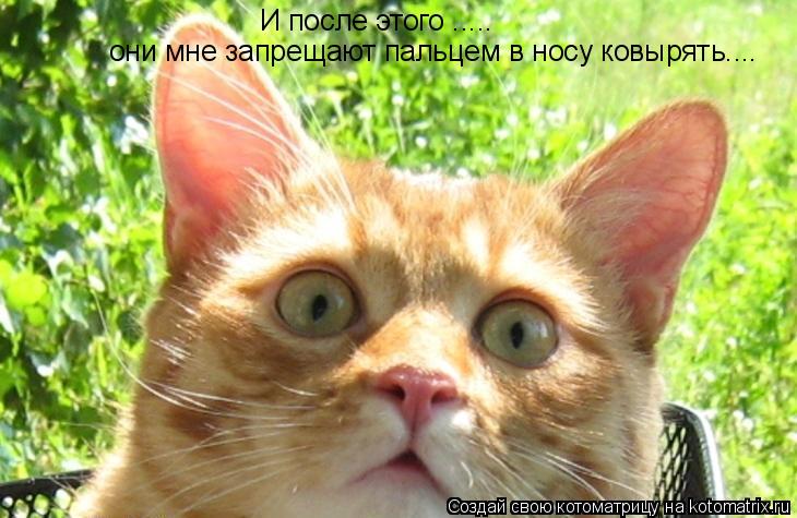 И после этого ..... они мне запрещают пальцем в носу ковырять....... Котоматрица: И после этого ..... они мне запрещают пальцем в носу ковырять....