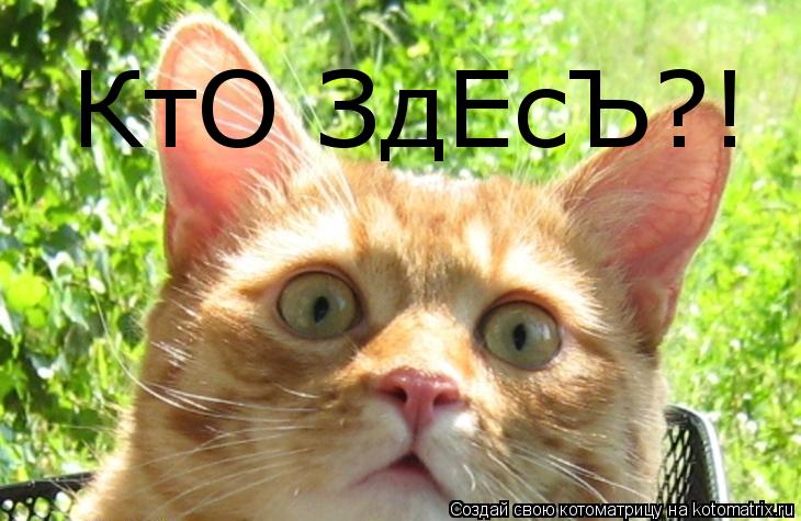 Котоматрица: КтО ЗдЕсЪ?!