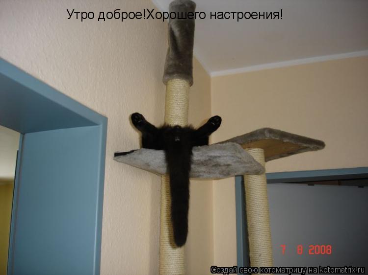 Утро доброе!Хорошего настроения!... Котоматрица: Утро доброе!Хорошего настроения!
