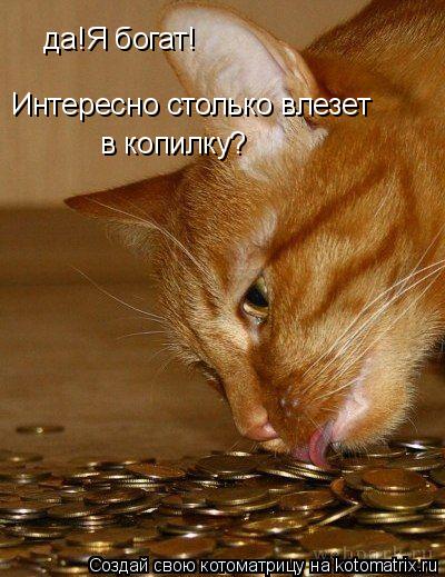 да!Я богат! Интересно столько влезет в копилку?... Котоматрица: да!Я богат! Интересно столько влезет в копилку?