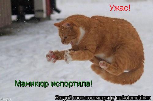 Ужас! Ужас! Маникюр испортила!... Котоматрица: Ужас! Ужас! Маникюр испортила!