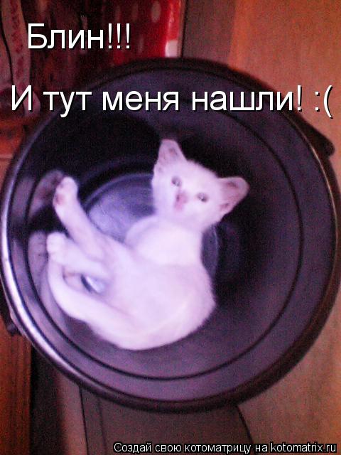 Блин!!! И тут меня нашли! :(... Котоматрица: Блин!!! И тут меня нашли! :(