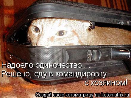 Надоело одиночествою Надоело одиночество ... Решено, еду в командировку с хозяином!... Котоматрица: Надоело одиночествою Надоело одиночество ... Решено, еду в командировку с хозяином!