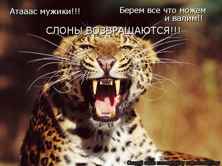 Атааас мужики!!! Берем все что можем и валим!! СЛОНЫ ВОЗВРАЩАЮТСЯ!!!... Котоматрица: Атааас мужики!!! Берем все что можем и валим!! СЛОНЫ ВОЗВРАЩАЮТСЯ!!!