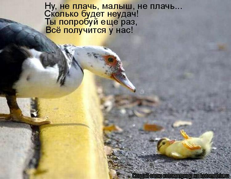 Ну, не плачь, малыш, не плачь... Сколько будет неудач! Ты попробуй еще раз, Всё получится у нас!... Котоматрица: Ну, не плачь, малыш, не плачь... Сколько будет неудач! Ты попробуй еще раз, Всё получится у нас!