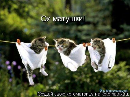 Ох матушки!... Котоматрица: Ох матушки!