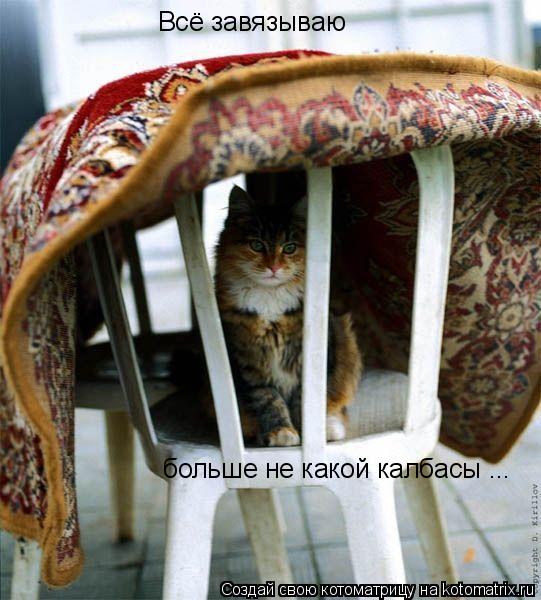 Котоматрица: Всё завязываю больше не какой калбасы ...