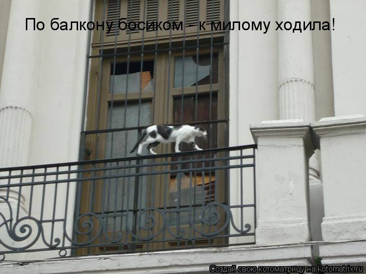 По балкону босиком - к милому ходила!... Котоматрица: По балкону босиком - к милому ходила!