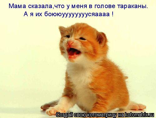 Мама сказала,что у меня в голове тараканы. А я их боююуууууууусяаааа !... Котоматрица: Мама сказала,что у меня в голове тараканы. А я их боююуууууууусяаааа !