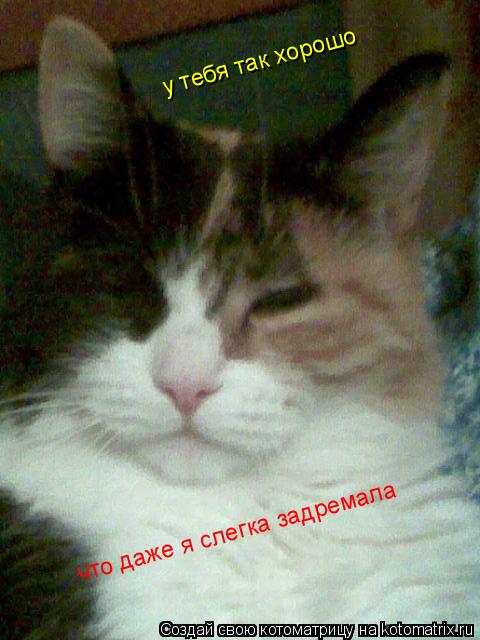 у тебя так хорошо что даже я слегка задремала... Котоматрица: у тебя так хорошо что даже я слегка задремала