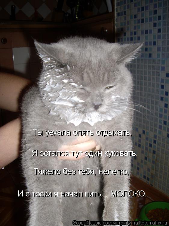 Ты уехала опять отдыхать, Я остался тут один куковать. Тяжело без тебя, нелегко, И с тоски я начал пи... Котоматрица: Ты уехала опять отдыхать, Я остался тут один куковать. Тяжело без тебя, нелегко, И с тоски я начал пить... МОЛОКО.