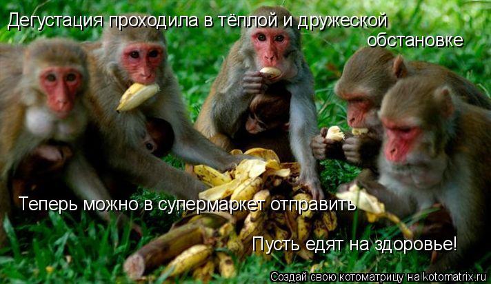 Дегустация проходила в тёплой и дружеской обстановке Теперь можно в супермаркет отправить Пусть едят... Котоматрица: Дегустация проходила в тёплой и дружеской обстановке Теперь можно в супермаркет отправить Пусть едят на здоровье!