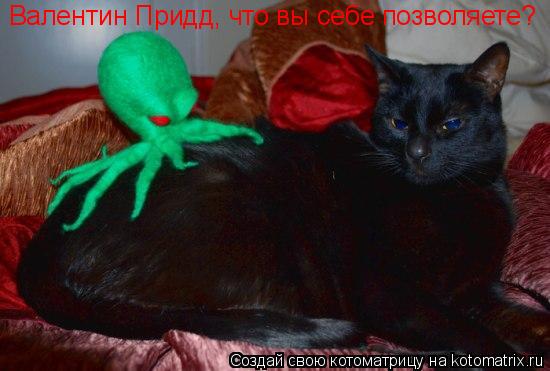 Валентин Придд, что вы себе позволяете?... Котоматрица: Валентин Придд, что вы себе позволяете?