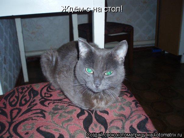 Ждём-с на стол!... Котоматрица: Ждём-с на стол!