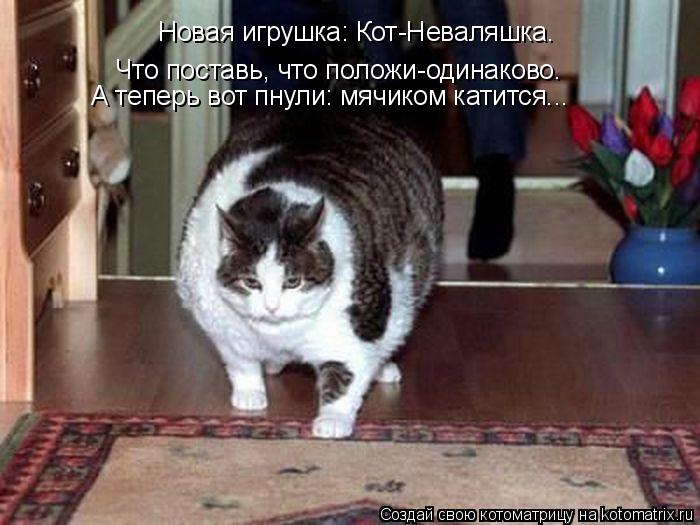 Новая игрушка: Кот-Неваляшка. Что поставь, что положи-одинаково. А теперь вот пнули: мячиком катится.... Котоматрица: Новая игрушка: Кот-Неваляшка. Что поставь, что положи-одинаково. А теперь вот пнули: мячиком катится...