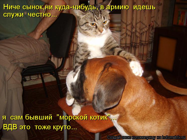 Ниче сынок,ни куда-нибудь, в армию идешь служи честно... я сам бывший "морской котик"... ВДВ это ... Котоматрица: Ниче сынок,ни куда-нибудь, в армию идешь служи честно... я сам бывший "морской котик"... ВДВ это тоже круто...